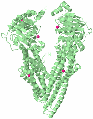 Image Biological Unit 2