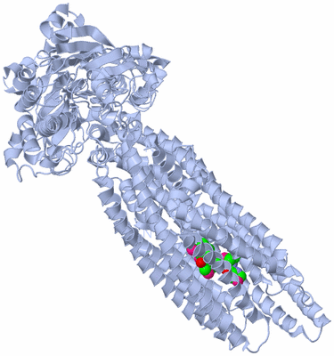 Image Biological Unit 1