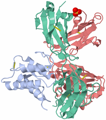 Image Biological Unit 1