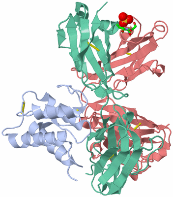 Image Biol. Unit 1 - sites