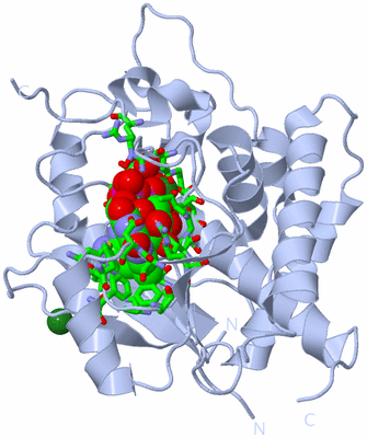 Image Biol. Unit 1 - sites