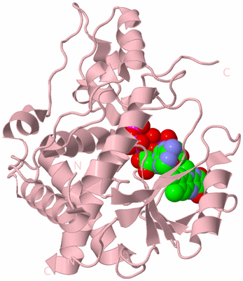 Image Biological Unit 3