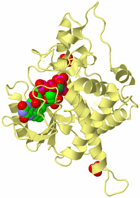 Image Biological Unit 4