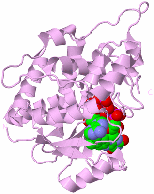 Image Biological Unit 5