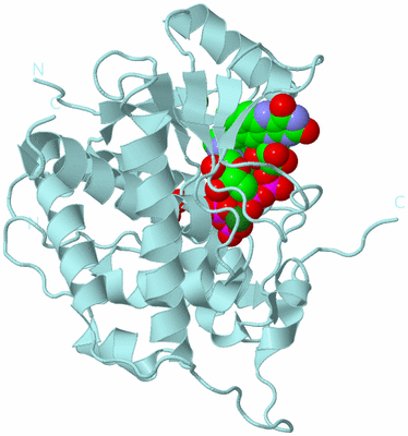 Image Biological Unit 6