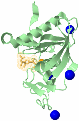 Image Biological Unit 2