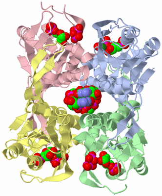 Image Asym./Biol. Unit