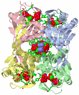 Image Asym./Biol. Unit - sites