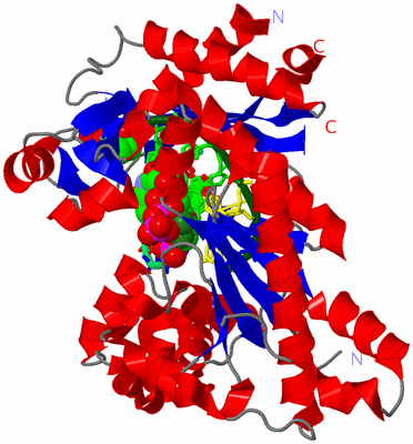 Image Asym./Biol. Unit