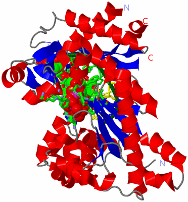 Image Asym./Biol. Unit - sites