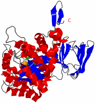 Image Asym. Unit - sites