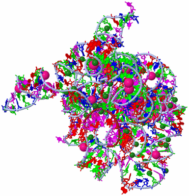 Image Asym./Biol. Unit