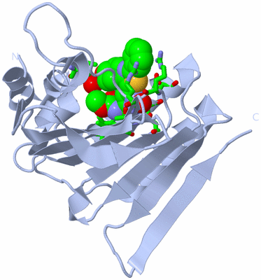 Image Biol. Unit 1 - sites