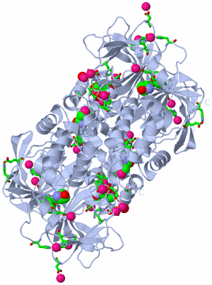 Image Biol. Unit 1 - sites