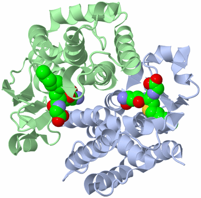 Image Asym./Biol. Unit