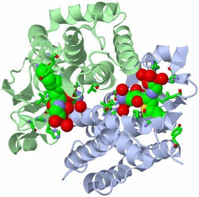 Image Asym./Biol. Unit - sites