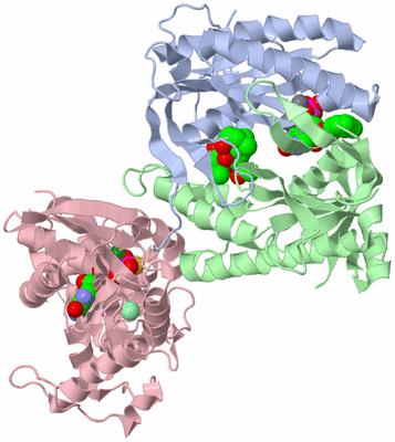 Image Asym./Biol. Unit