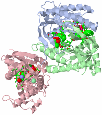 Image Asym./Biol. Unit - sites