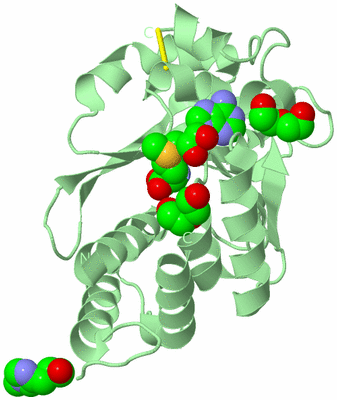 Image Biological Unit 2