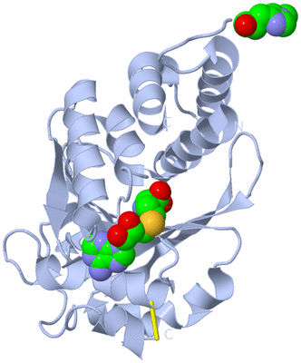 Image Biological Unit 1