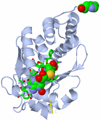 Image Biol. Unit 1 - sites