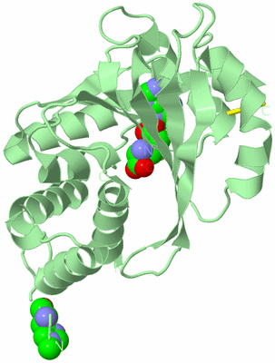 Image Biological Unit 2