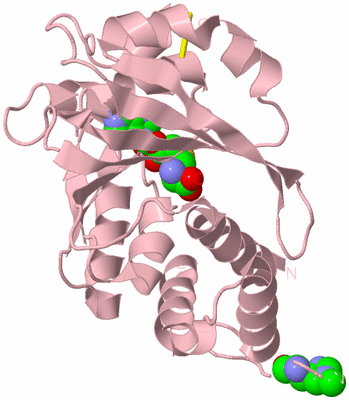 Image Biological Unit 3