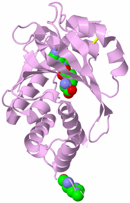 Image Biological Unit 5