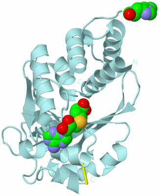 Image Biological Unit 6