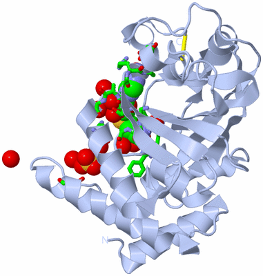 Image Biol. Unit 1 - sites