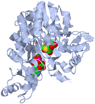 Image Biological Unit 1