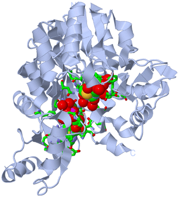 Image Biol. Unit 1 - sites