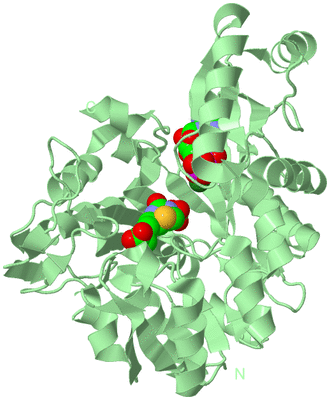 Image Biological Unit 2