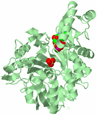 Image Biological Unit 2