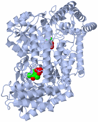 Image Biological Unit 1