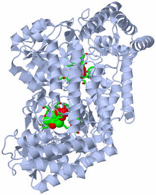 Image Biol. Unit 1 - sites