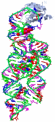 Image Biological Unit 1