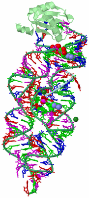 Image Biological Unit 2