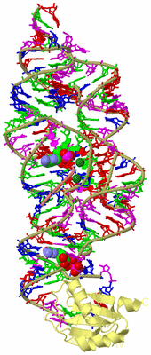 Image Biological Unit 4