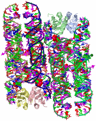 Image Asym. Unit - sites