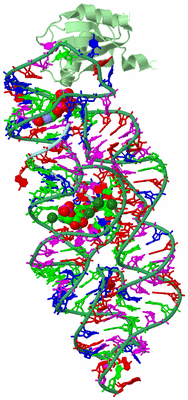 Image Biological Unit 2