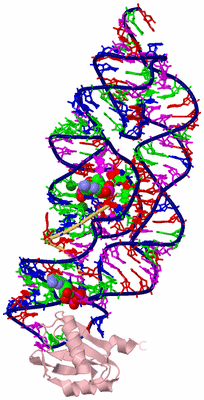 Image Biological Unit 3