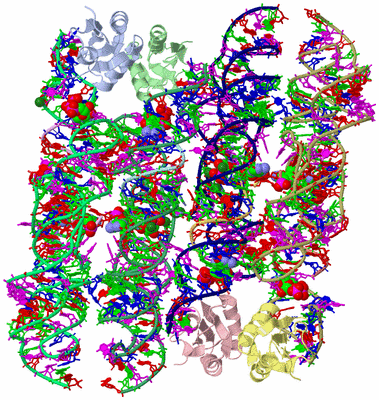 Image Asym. Unit - sites