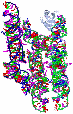 Image Biological Unit 1