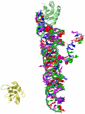 Image Biological Unit 2