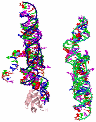 Image Biological Unit 3