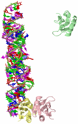 Image Biological Unit 4