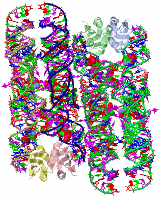 Image Asym. Unit - sites