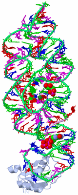 Image Biological Unit 1