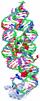 Image Biol. Unit 1 - sites